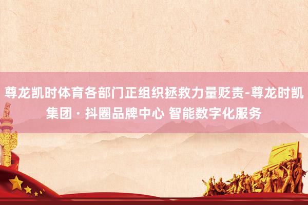 尊龙凯时体育各部门正组织拯救力量贬责-尊龙时凯集团 · 抖圈品牌中心 智能数字化服务