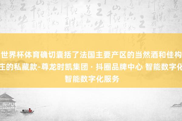 世界杯体育确切囊括了法国主要产区的当然酒和佳构小酒庄的私藏款-尊龙时凯集团 · 抖圈品牌中心 智能数字化服务