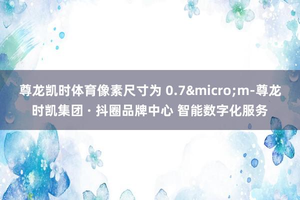 尊龙凯时体育像素尺寸为 0.7&micro;m-尊龙时凯集团 · 抖圈品牌中心 智能数字化服务