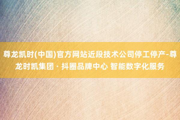 尊龙凯时(中国)官方网站近段技术公司停工停产-尊龙时凯集团 · 抖圈品牌中心 智能数字化服务