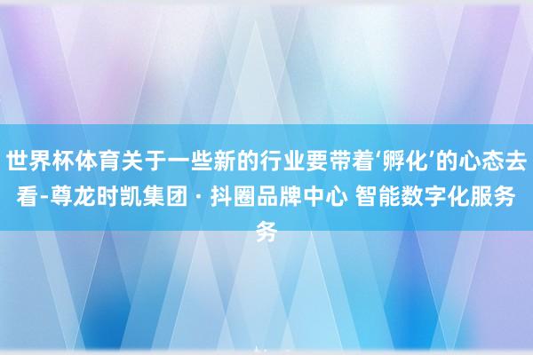 世界杯体育关于一些新的行业要带着‘孵化’的心态去看-尊龙时凯集团 · 抖圈品牌中心 智能数字化服务