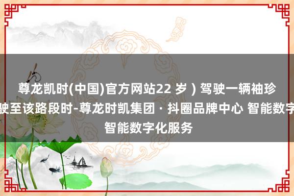 尊龙凯时(中国)官方网站22 岁 ) 驾驶一辆袖珍客车行驶至该路段时-尊龙时凯集团 · 抖圈品牌中心 智能数字化服务