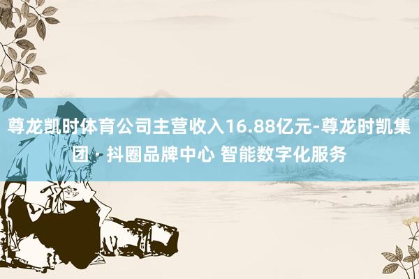 尊龙凯时体育公司主营收入16.88亿元-尊龙时凯集团 · 抖圈品牌中心 智能数字化服务