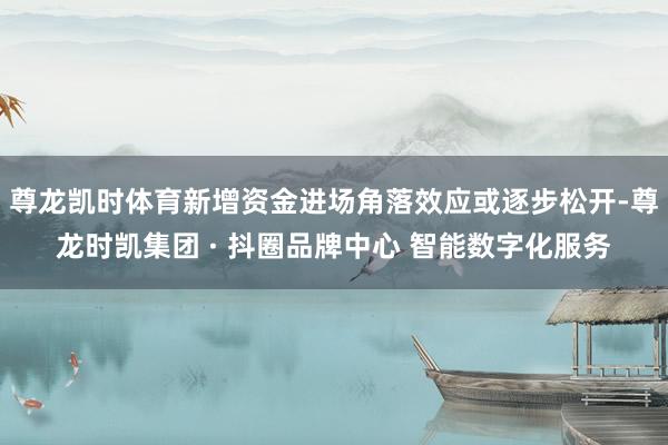尊龙凯时体育新增资金进场角落效应或逐步松开-尊龙时凯集团 · 抖圈品牌中心 智能数字化服务