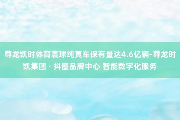 尊龙凯时体育寰球纯真车保有量达4.6亿辆-尊龙时凯集团 · 抖圈品牌中心 智能数字化服务