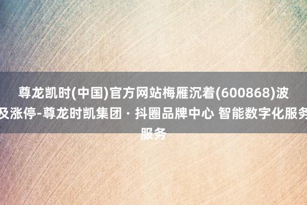 尊龙凯时(中国)官方网站梅雁沉着(600868)波及涨停-尊龙时凯集团 · 抖圈品牌中心 智能数字化服务