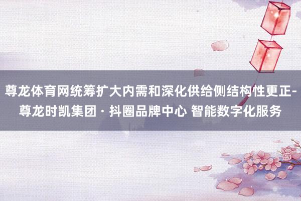 尊龙体育网统筹扩大内需和深化供给侧结构性更正-尊龙时凯集团 · 抖圈品牌中心 智能数字化服务