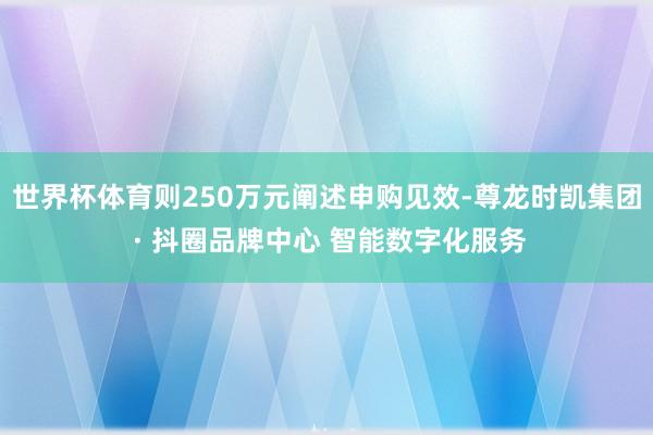 世界杯体育则250万元阐述申购见效-尊龙时凯集团 · 抖圈品牌中心 智能数字化服务