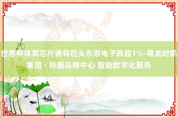 世界杯体育芯片诱导巨头东京电子跌超1%-尊龙时凯集团 · 抖圈品牌中心 智能数字化服务