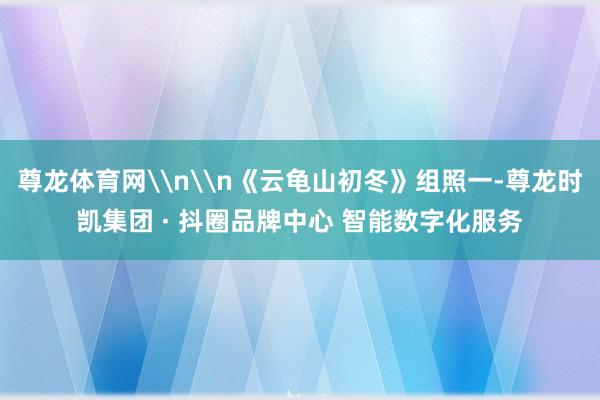 尊龙体育网\n\n《云龟山初冬》组照一-尊龙时凯集团 · 抖圈品牌中心 智能数字化服务