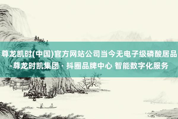 尊龙凯时(中国)官方网站公司当今无电子级磷酸居品-尊龙时凯集团 · 抖圈品牌中心 智能数字化服务