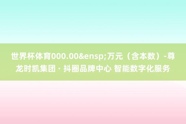 世界杯体育000.00&ensp;万元（含本数）-尊龙时凯集团 · 抖圈品牌中心 智能数字化服务