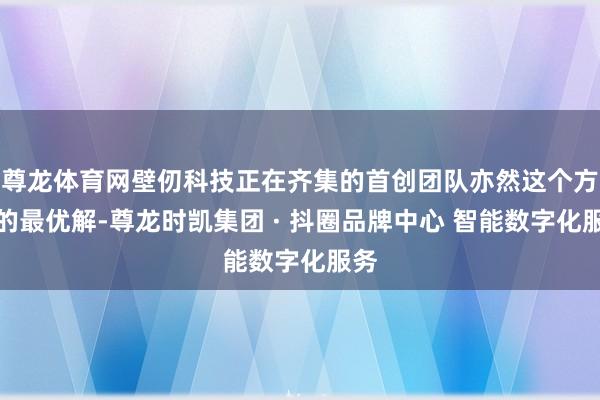 尊龙体育网壁仞科技正在齐集的首创团队亦然这个方针的最优解-尊龙时凯集团 · 抖圈品牌中心 智能数字化服务