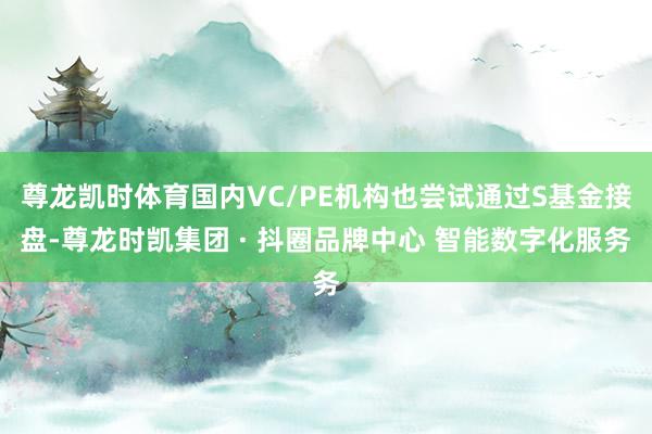 尊龙凯时体育国内VC/PE机构也尝试通过S基金接盘-尊龙时凯集团 · 抖圈品牌中心 智能数字化服务
